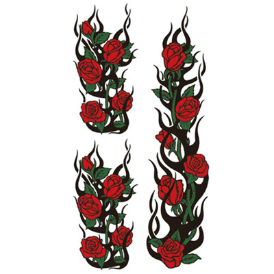 �^�g�D�[�V�[���@���K�N���z