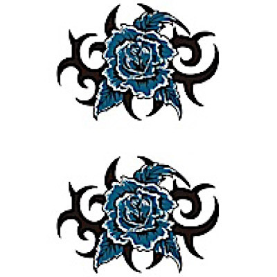 �^�g�D�[�V�[���@���K�N�g���C�o��