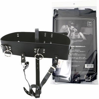 ���r�l�@�u�h�o�������Ⓒ�d�}�Œ�S���z���_�[�@���[�o�b�N�t��