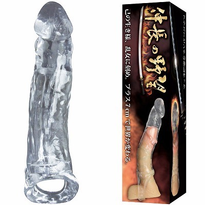 �L���̖�]�@�i�N���A�j