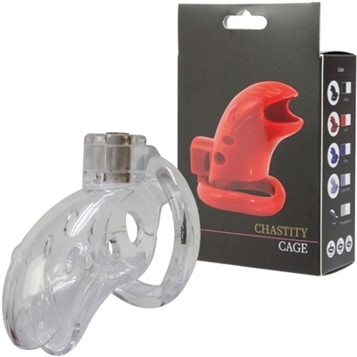 �`�F�X�e�e�B�P�[�W�@�i�N���A�j