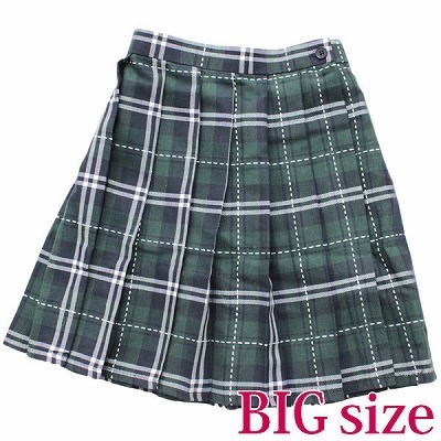 �X�e�b�`����`�F�b�N���v���[�c�X�J�[�g�@�a�h�f