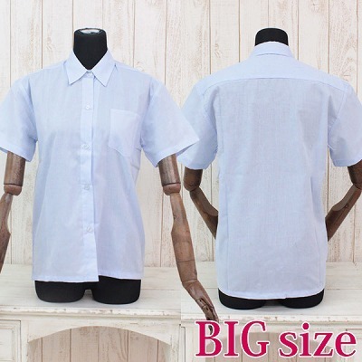 �����V���c�P�i�@�T�b�N�X�@�a�h�f