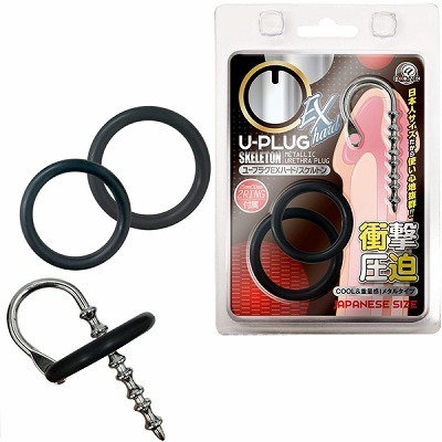 �t�|�v���O�@�d�w�n�[�h�@�i�X�P���g���j